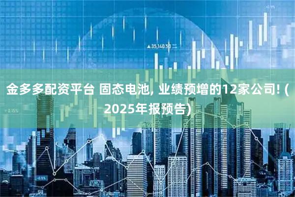 金多多配资平台 固态电池, 业绩预增的12家公司! (2025年报预告)